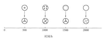 圖5鋼丸密度與壽命的關(guān)系